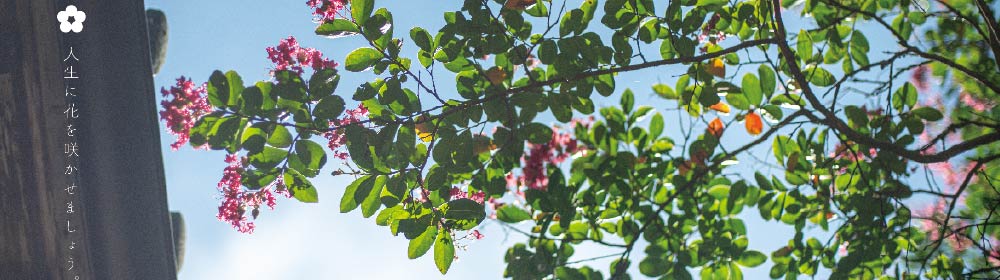 人生に花を咲かせましょう。